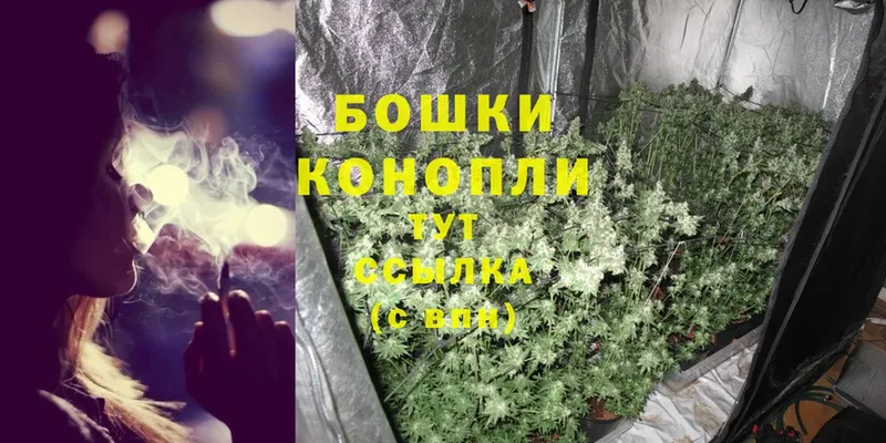 Конопля OG Kush  даркнет сайт  Воркута 